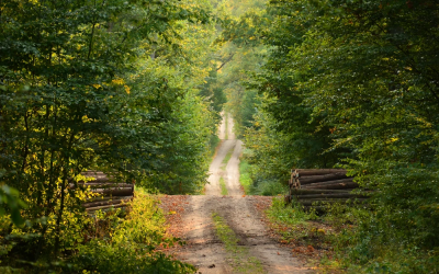 A Road Less Traveled – How Is It?